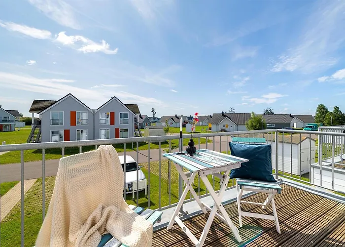 Uferschnepfe Olpenitz