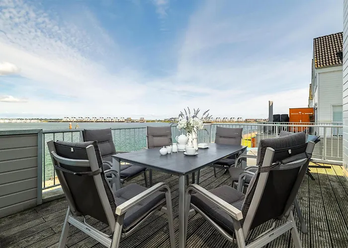 Uferschnepfe * Olpenitz